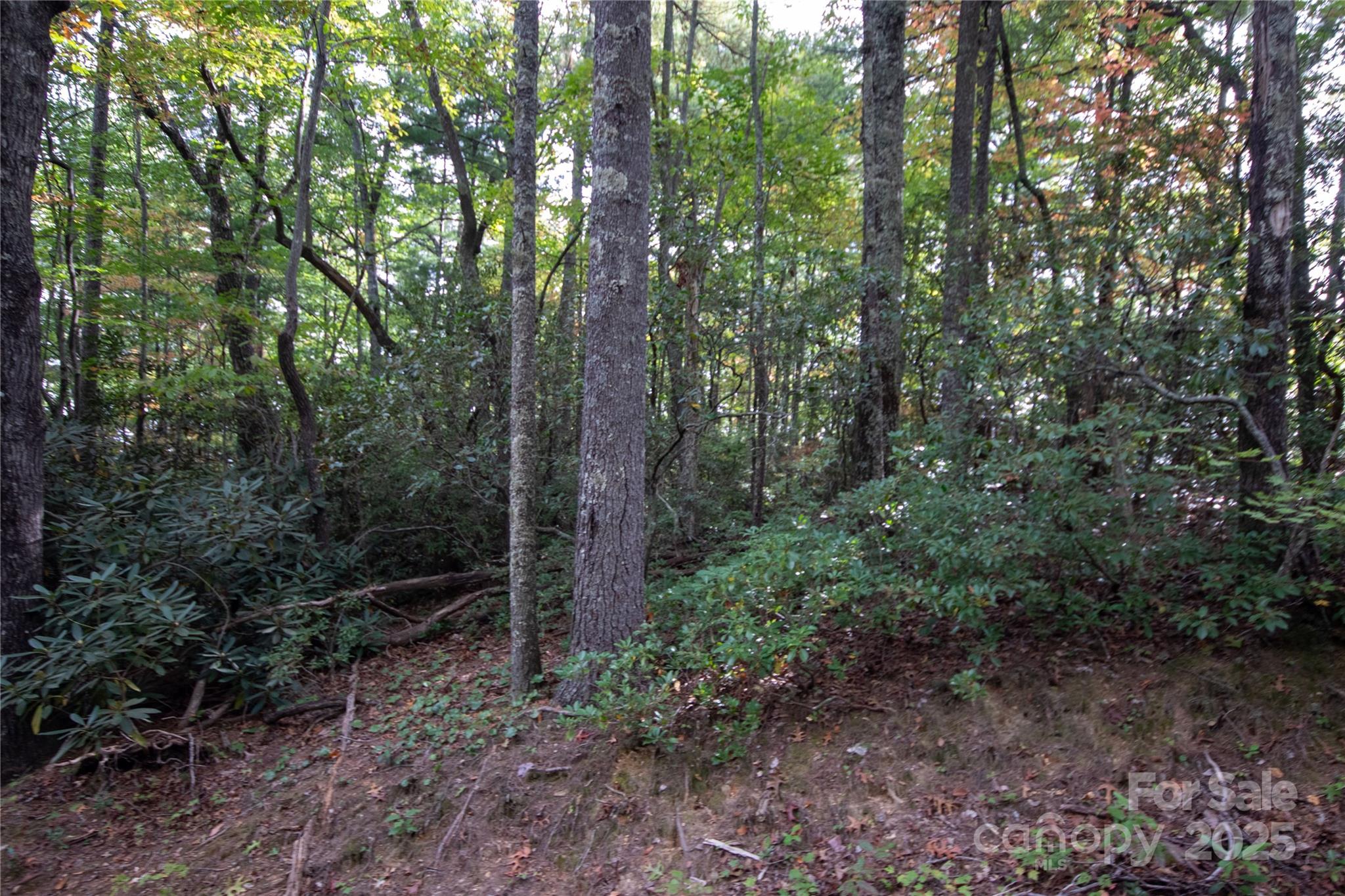 Lot# 594 Timberline Drive Lenoir NC 28645