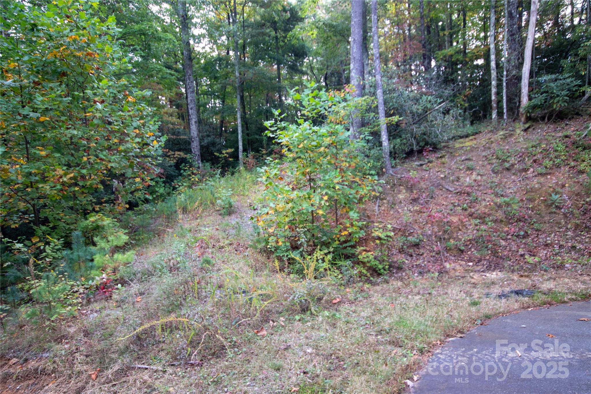 Lot# 594 Timberline Drive Lenoir NC 28645