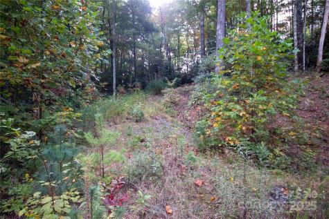 Lot# 594 Timberline Drive Lenoir NC 28645