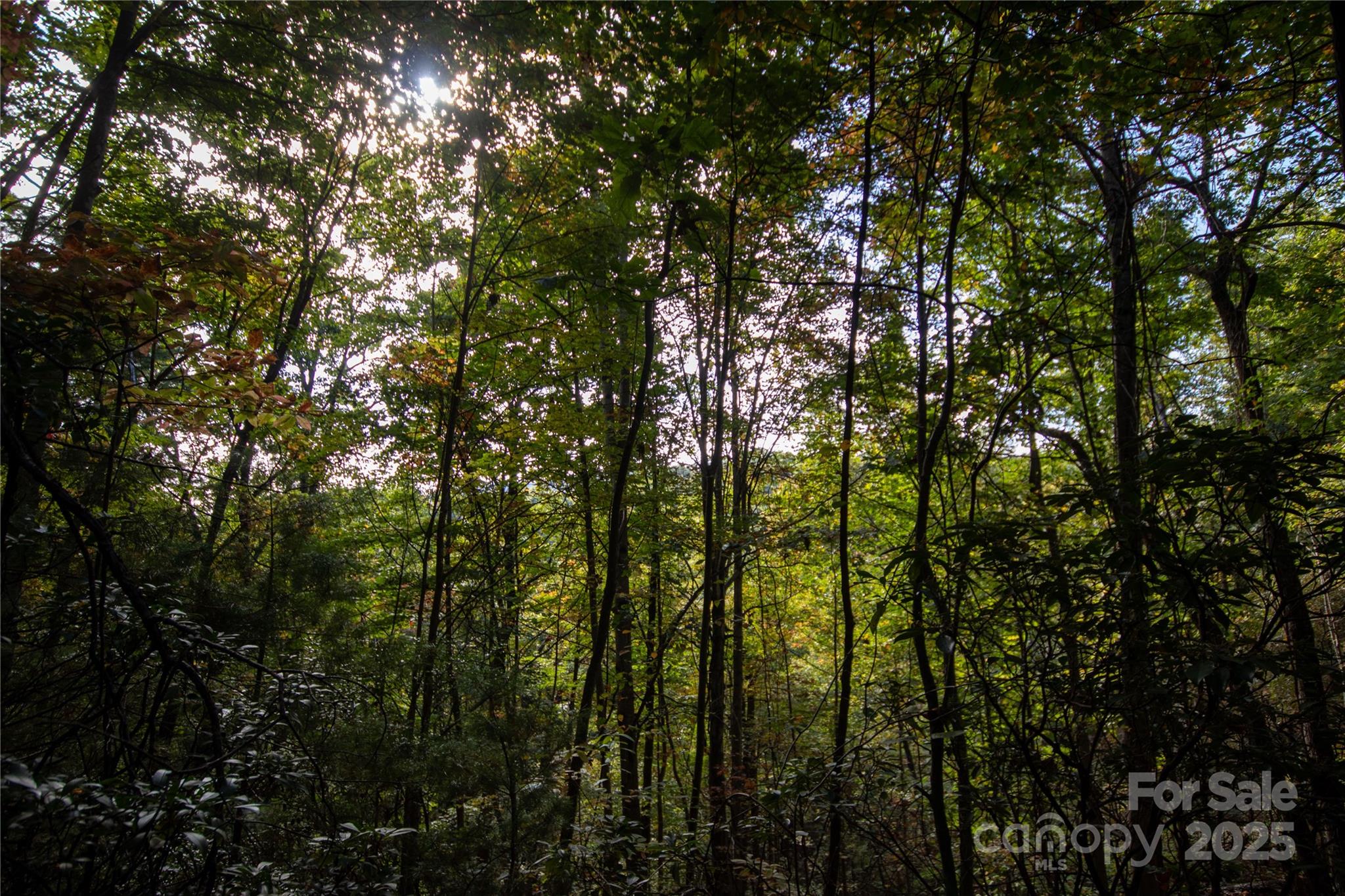 Lot# 594 Timberline Drive Lenoir NC 28645
