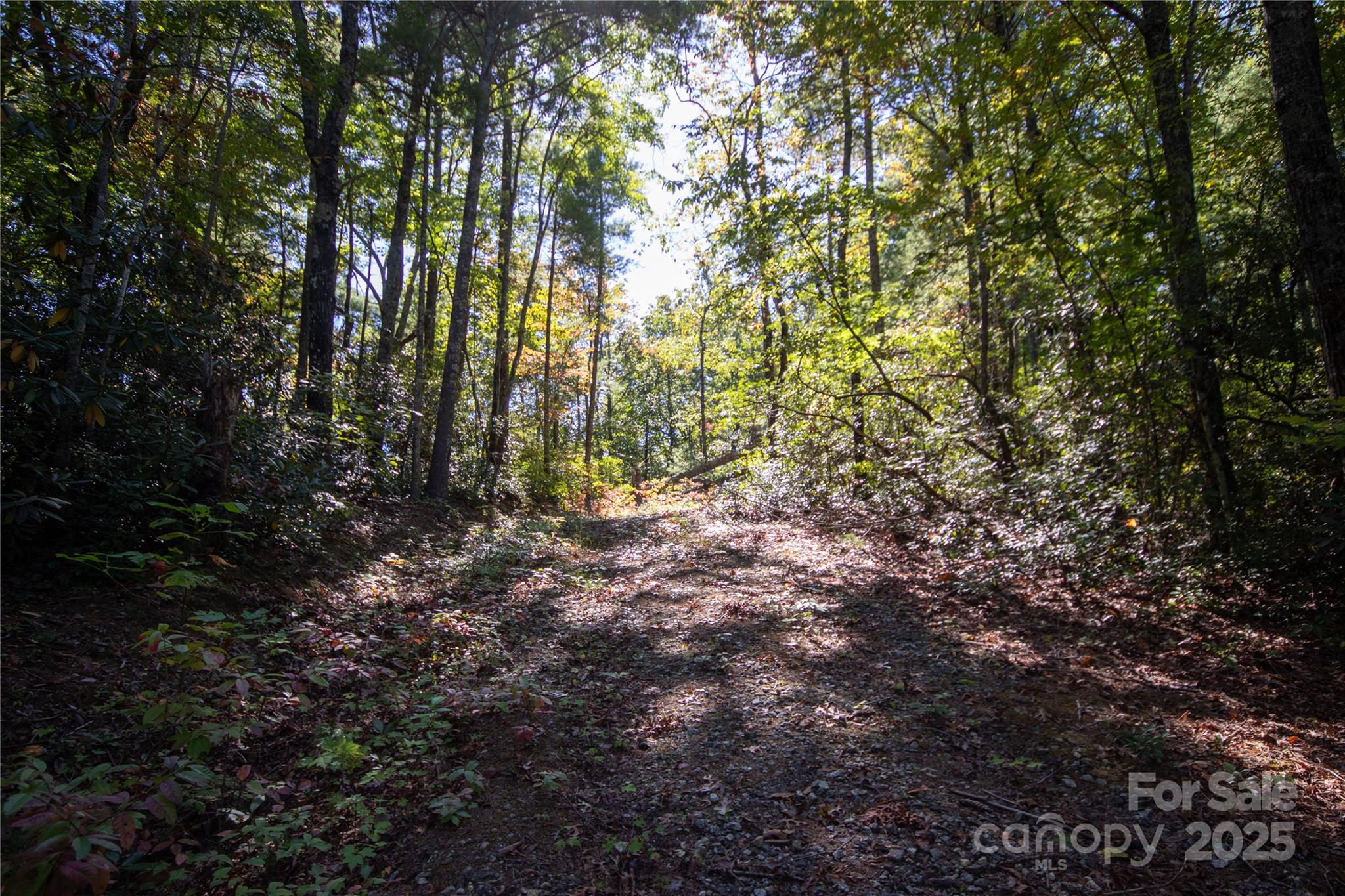 Lot# 594 Timberline Drive Lenoir NC 28645