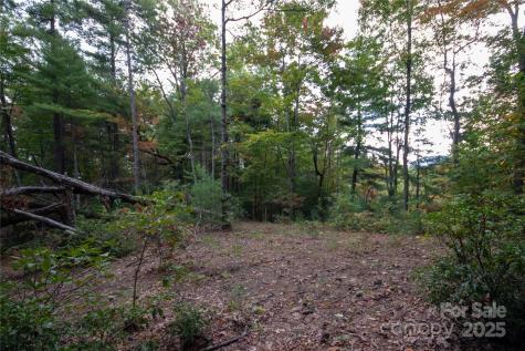 Lot# 594 Timberline Drive Lenoir NC 28645