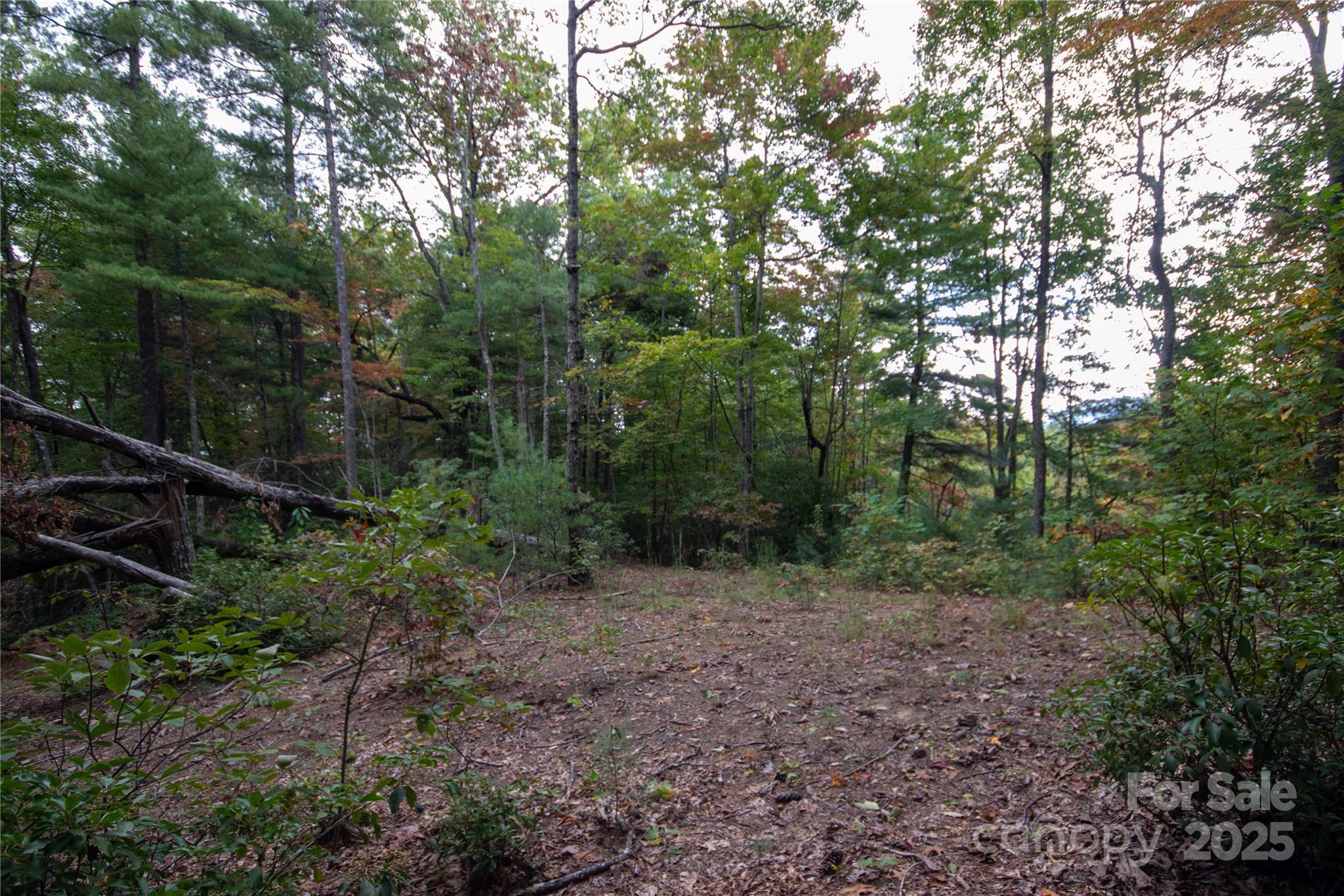 Lot# 594 Timberline Drive Lenoir NC 28645