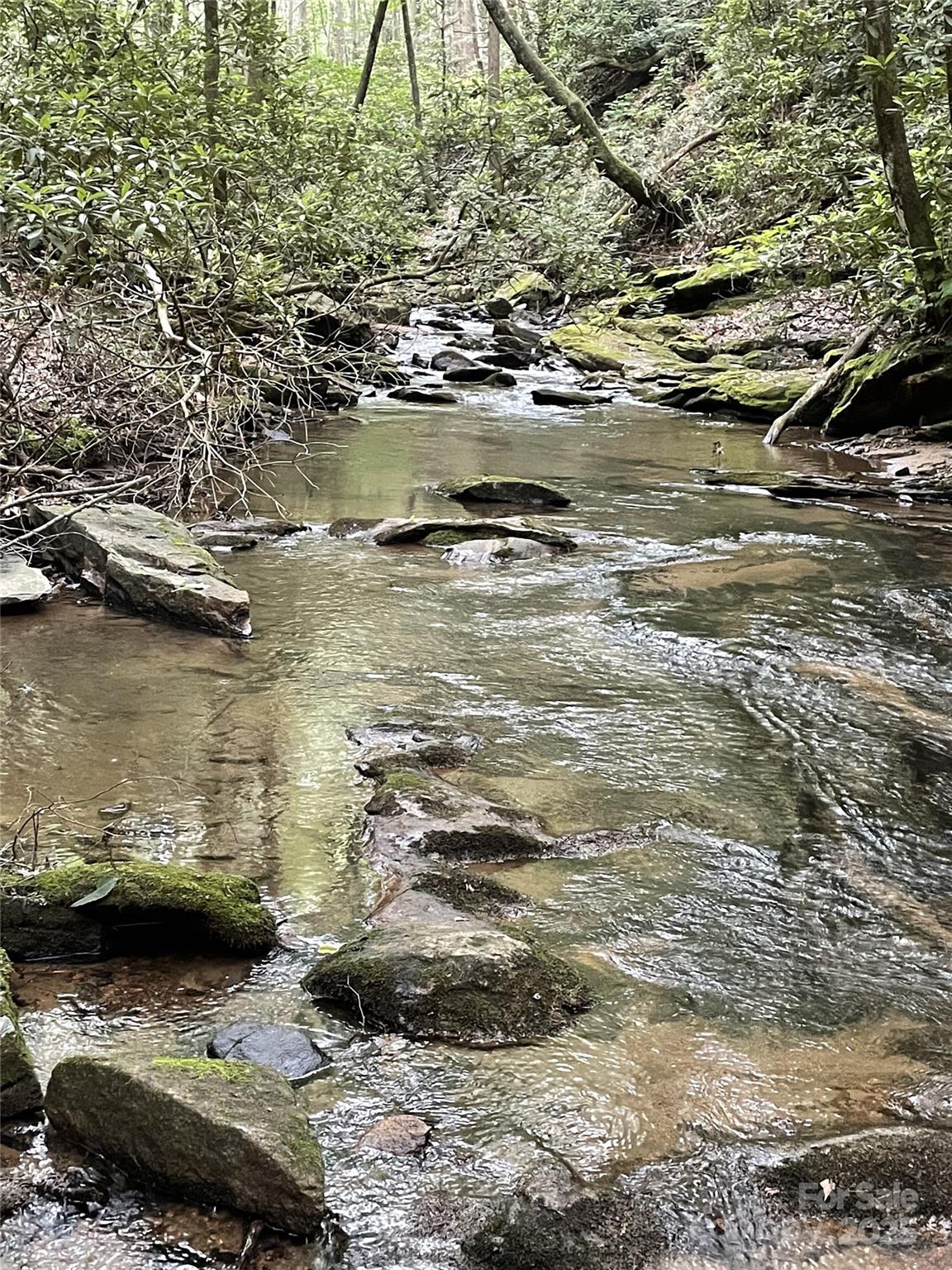 0 E Green Creek Drive Tryon NC 28782