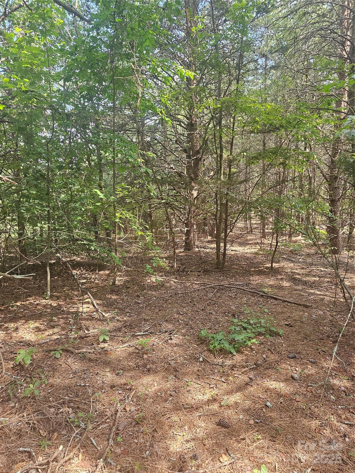 0 E Green Creek Drive Tryon NC 28782