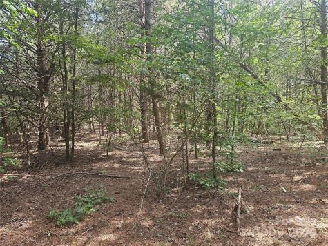 0 E Green Creek Drive Tryon NC 28782