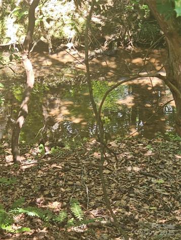 0 E Green Creek Drive Tryon NC 28782