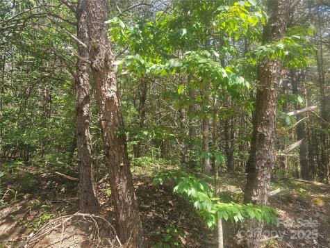 0 E Green Creek Drive Tryon NC 28782