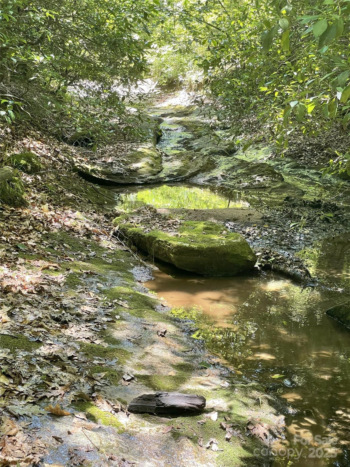 0 E Green Creek Drive Tryon NC 28782