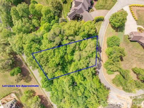 61 Bradford Vistas Drive Fletcher NC 28732