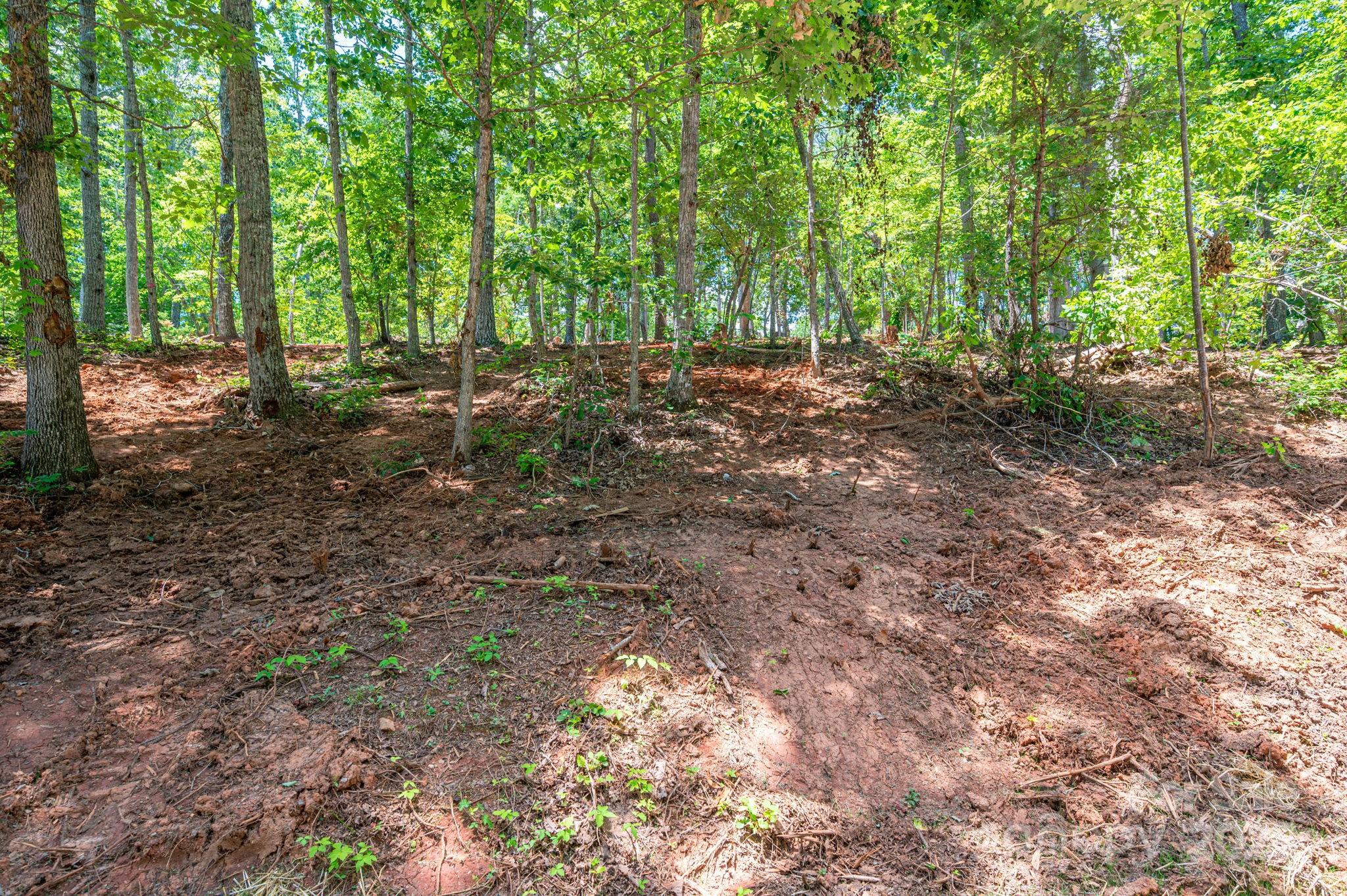 Lot 193 Plantation Drive Rutherfordton NC 28139