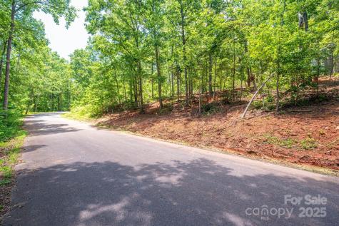 Lot 193 Plantation Drive Rutherfordton NC 28139