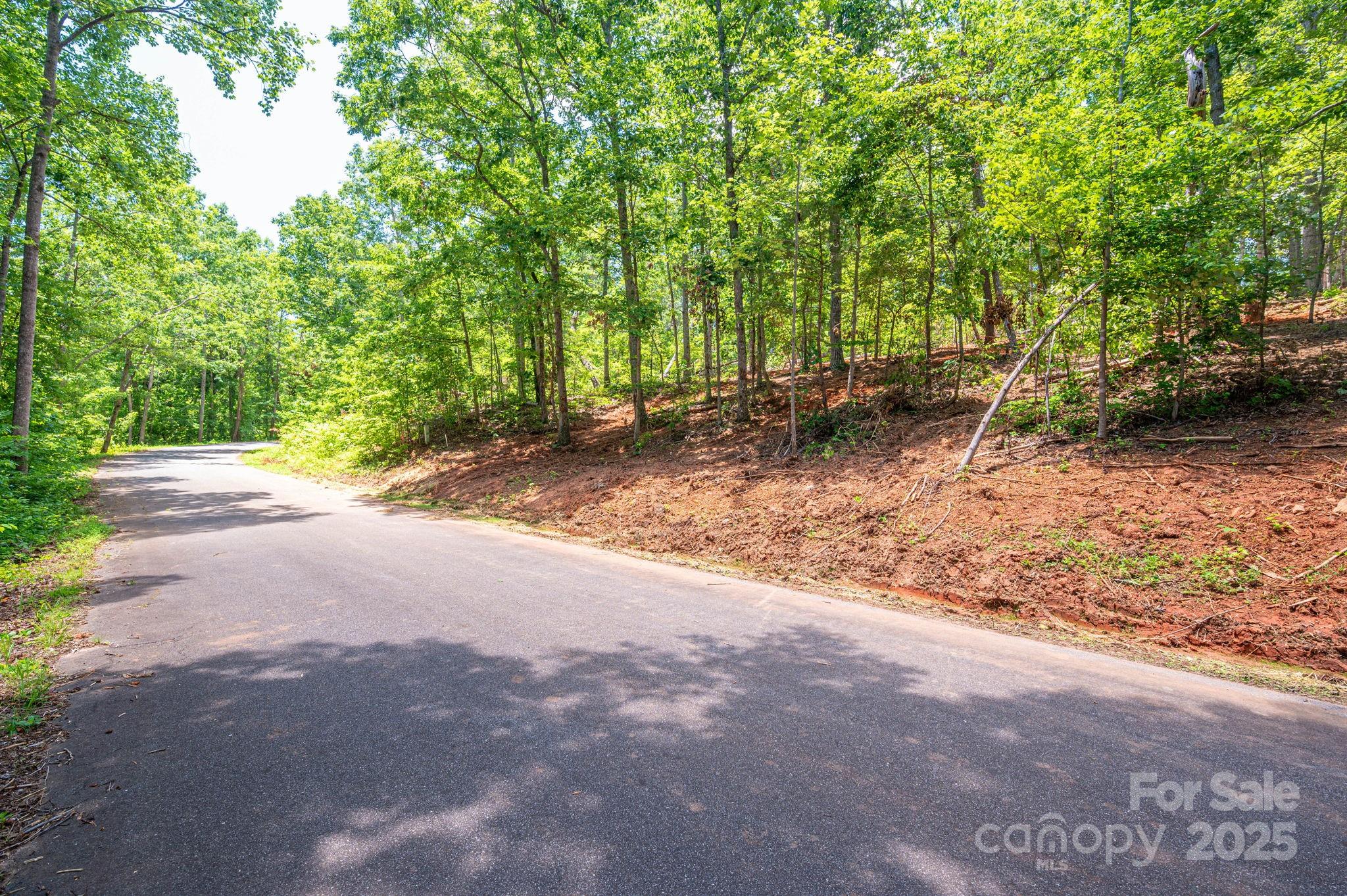 Lot 193 Plantation Drive Rutherfordton NC 28139