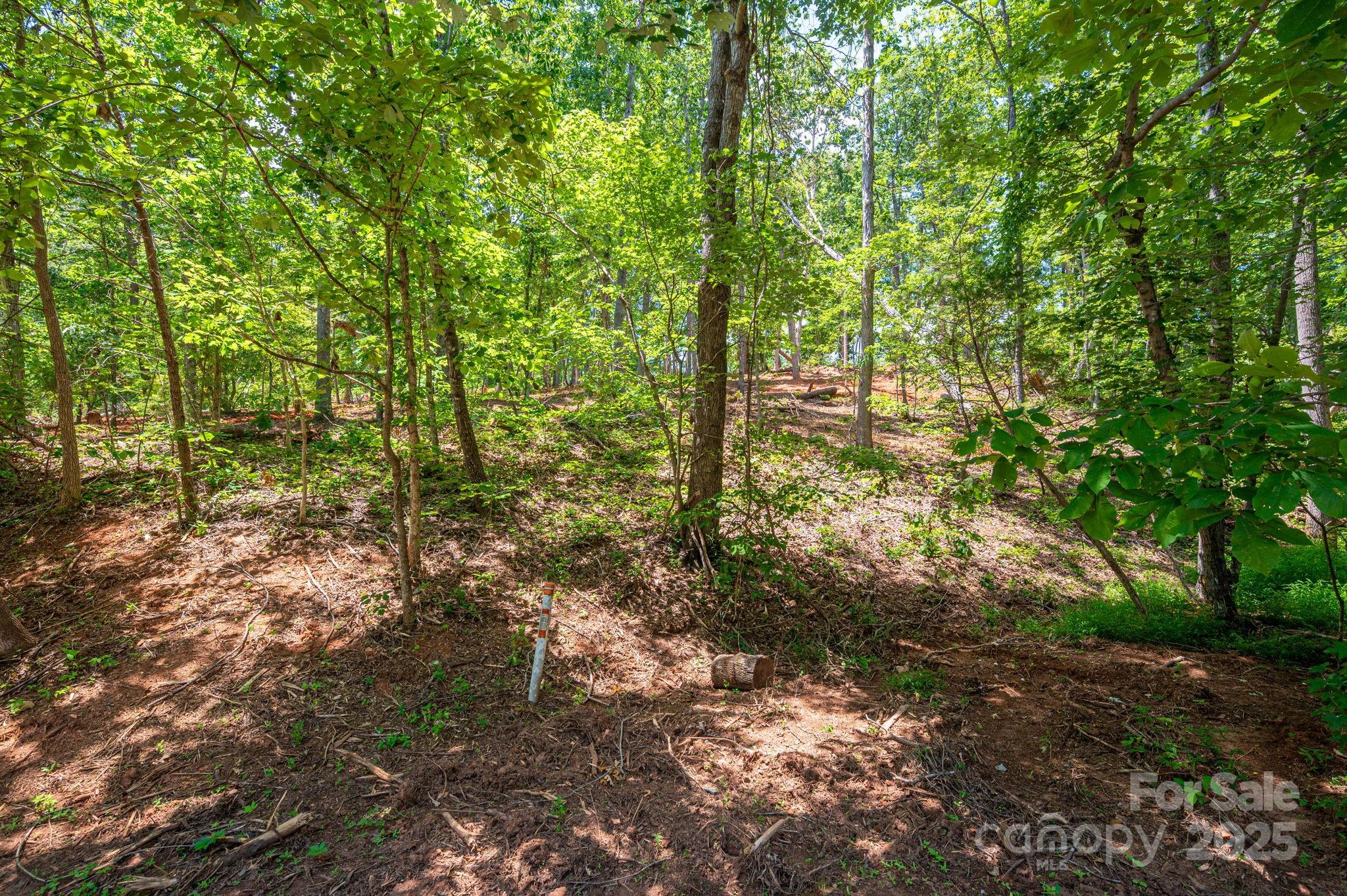 Lot 193 Plantation Drive Rutherfordton NC 28139