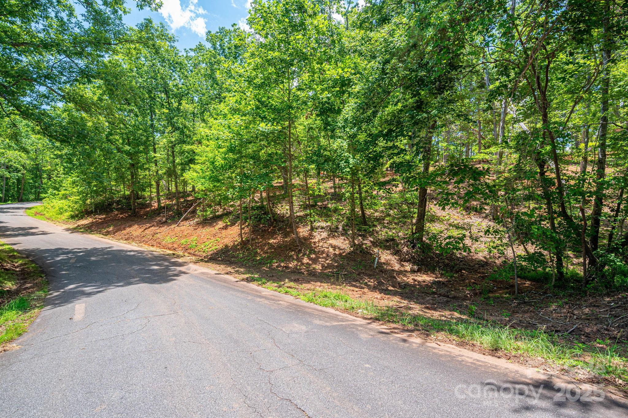 Lot 193 Plantation Drive Rutherfordton NC 28139