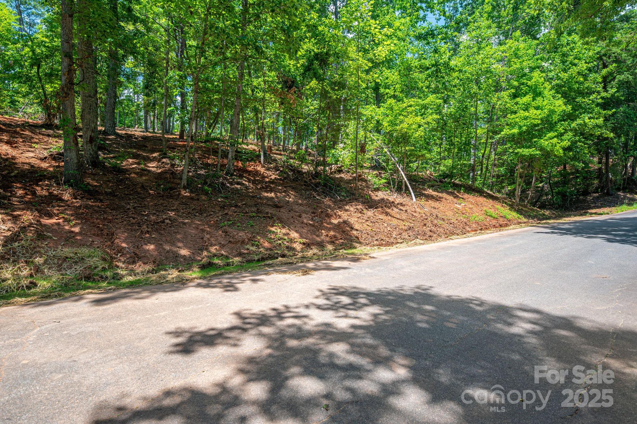 Lot 193 Plantation Drive Rutherfordton NC 28139