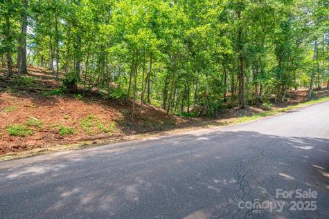 Lot 193 Plantation Drive Rutherfordton NC 28139