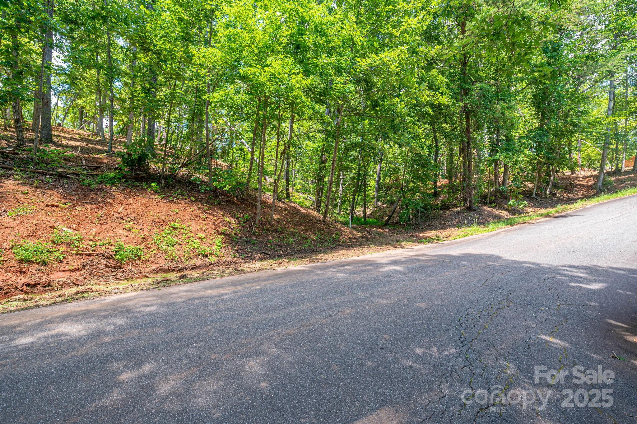 Lot 193 Plantation Drive Rutherfordton NC 28139