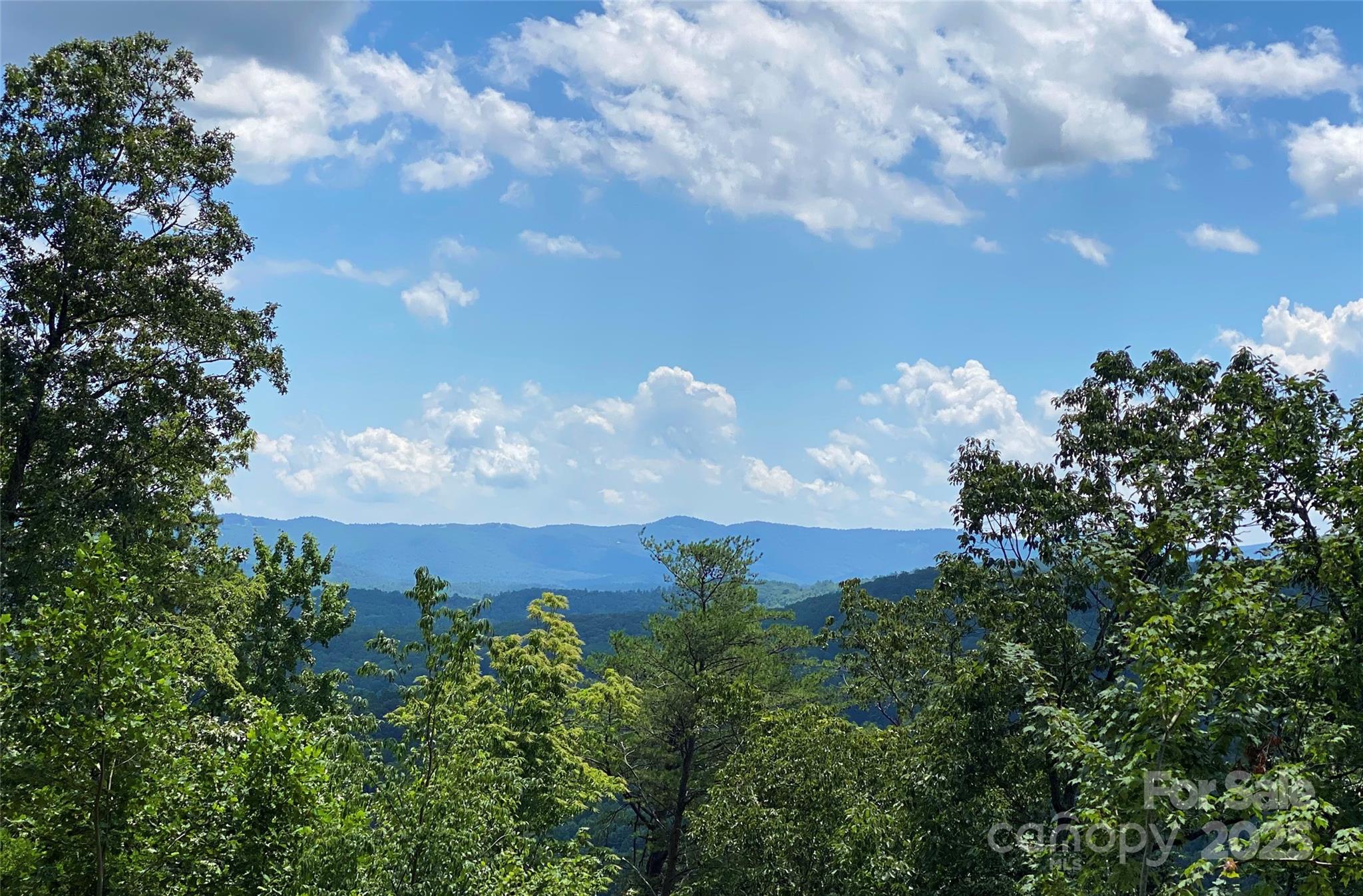 21 Marble Heights Hendersonville NC 28791