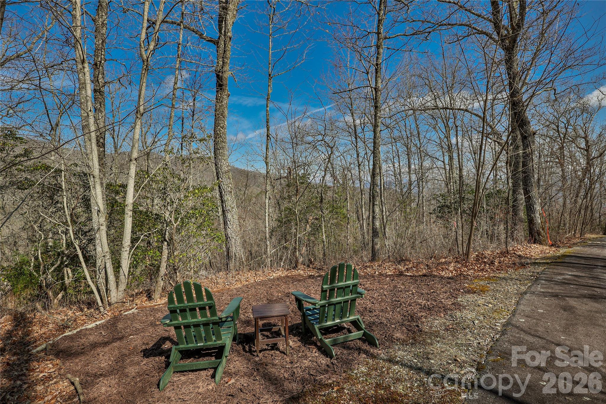 Lot 85 Waterdance Drive Tuckasegee NC 28783