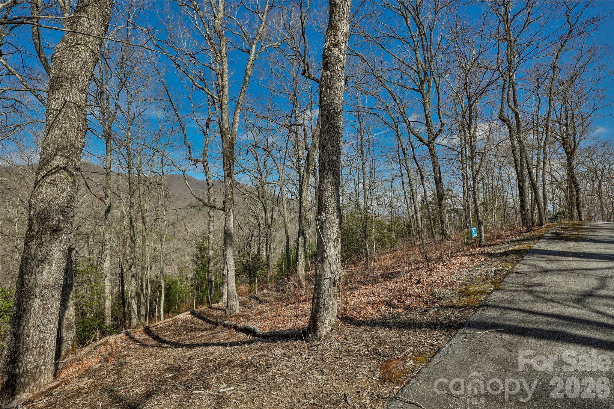 Lot 85 Waterdance Drive Tuckasegee NC 28783