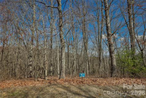 Lot 85 Waterdance Drive Tuckasegee NC 28783