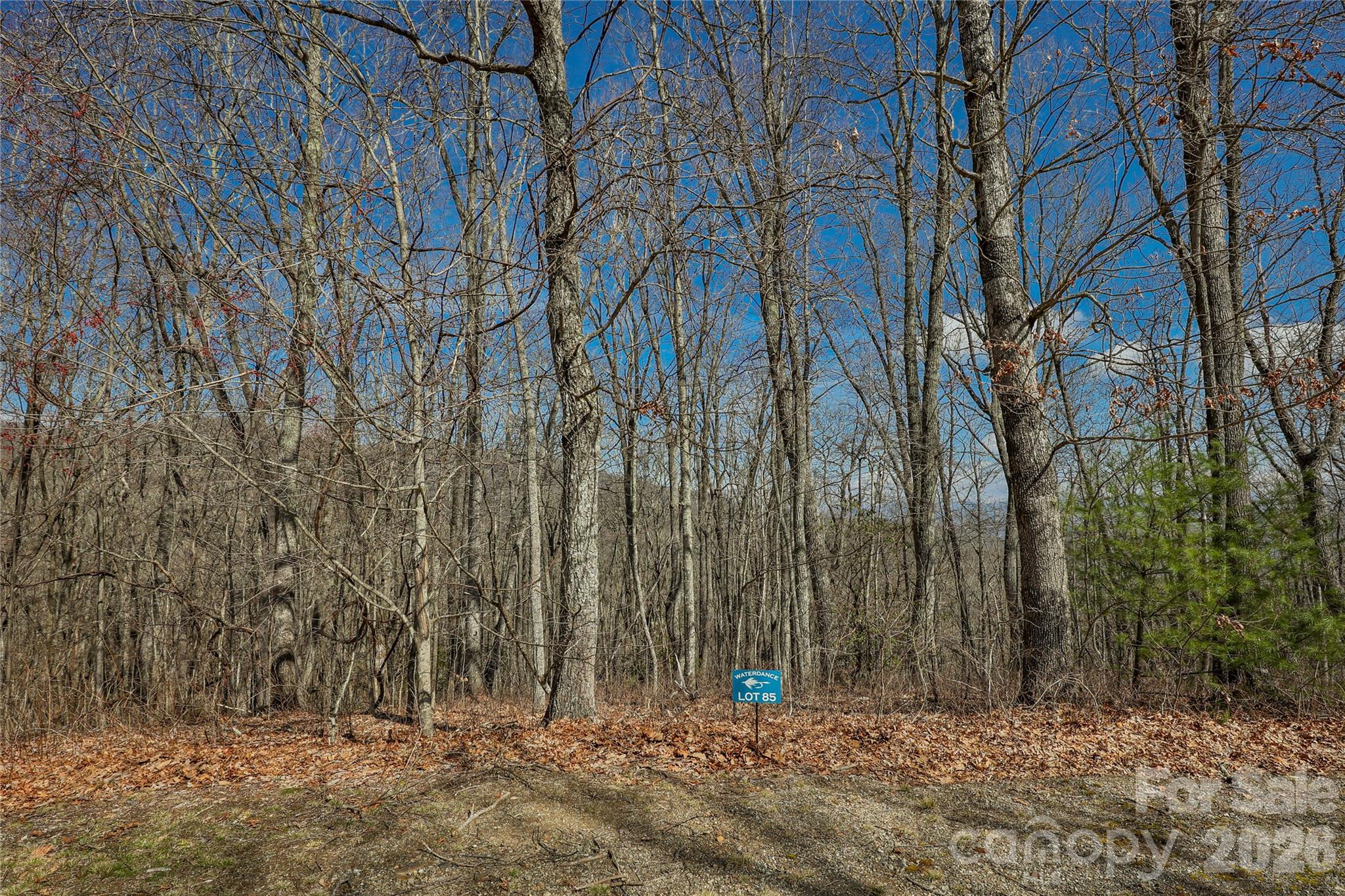 Lot 85 Waterdance Drive Tuckasegee NC 28783