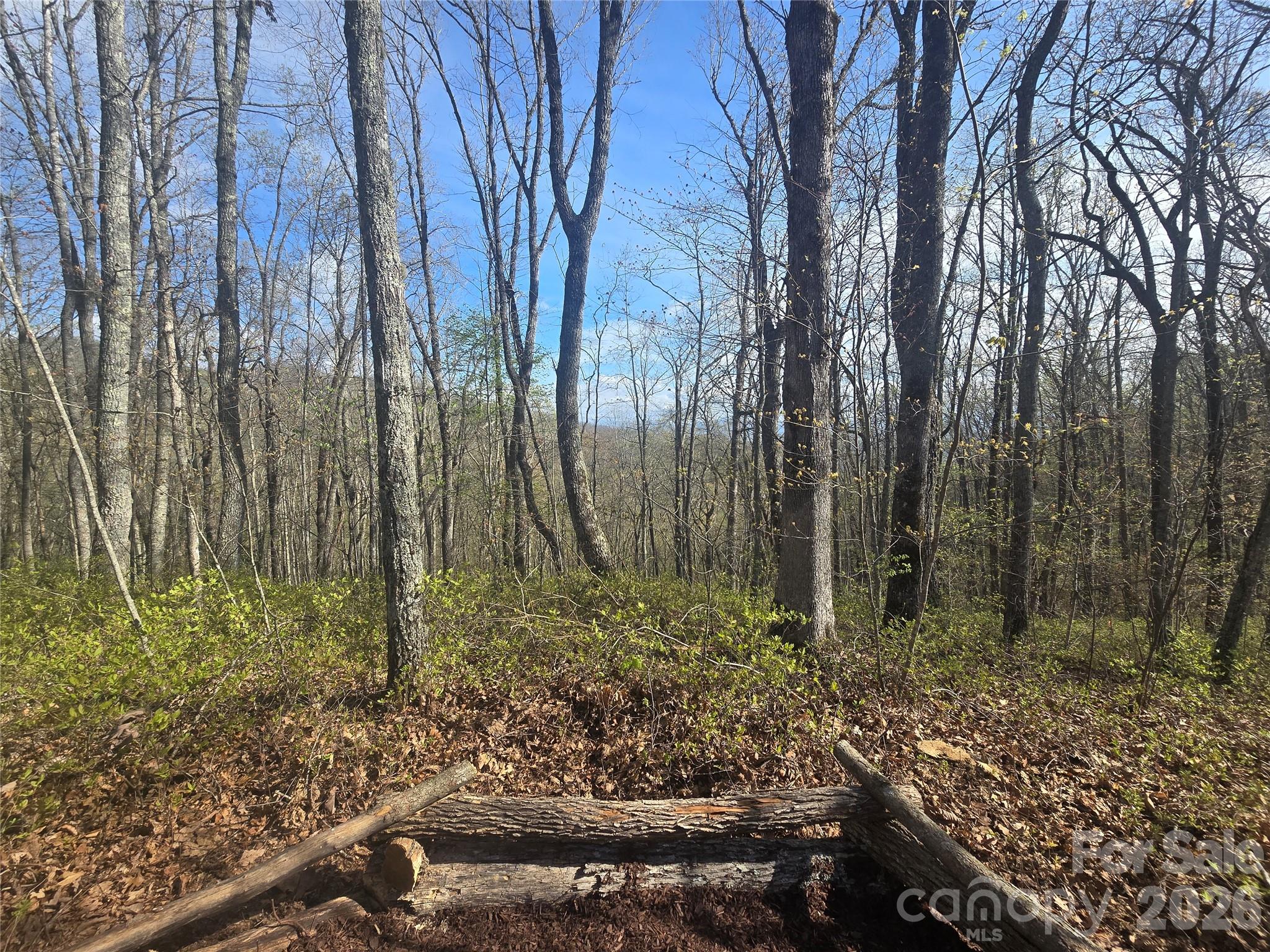Lot 85 Waterdance Drive Tuckasegee NC 28783