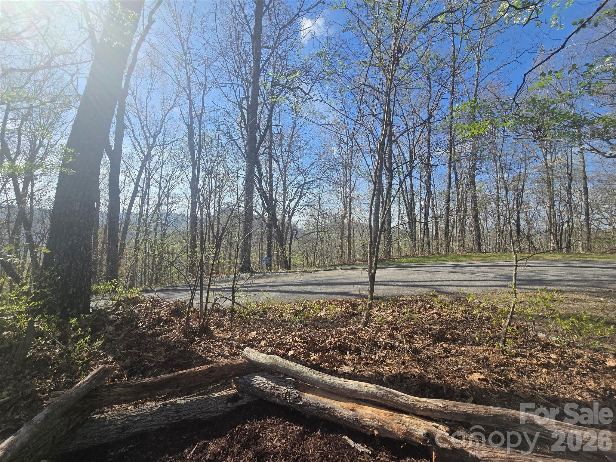 Lot 85 Waterdance Drive Tuckasegee NC 28783