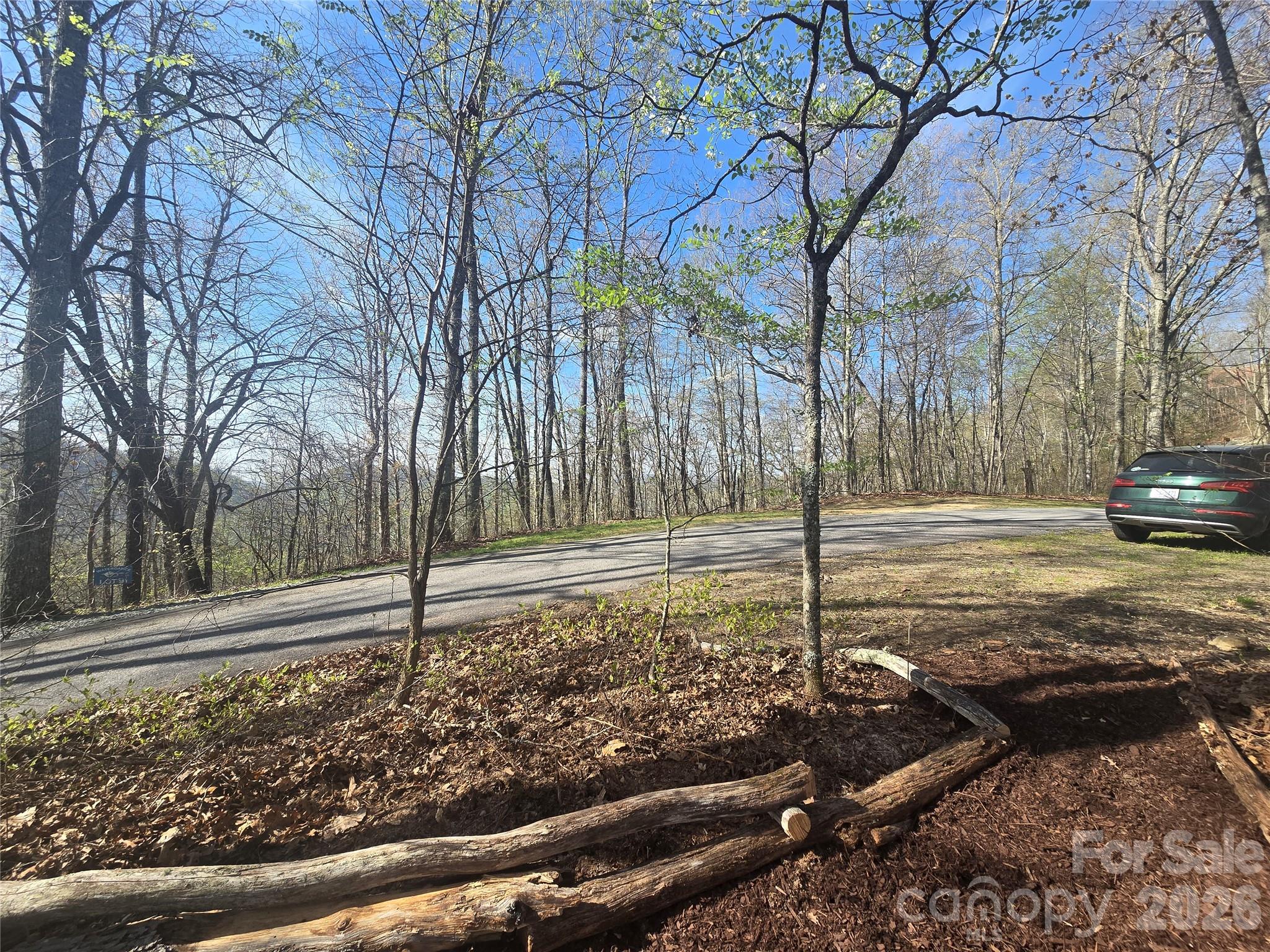 Lot 85 Waterdance Drive Tuckasegee NC 28783