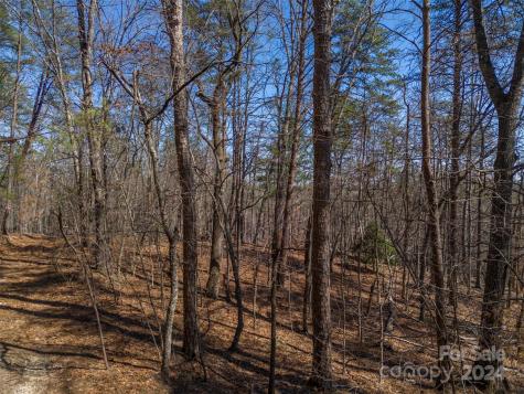 0 N Lynch Road SW Mill Spring NC 28756