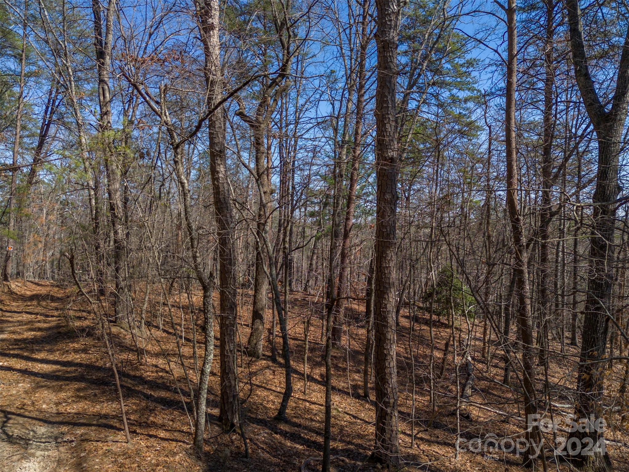 0 N Lynch Road SW Mill Spring NC 28756