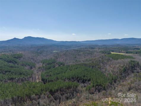 0 N Lynch Road SW Mill Spring NC 28756