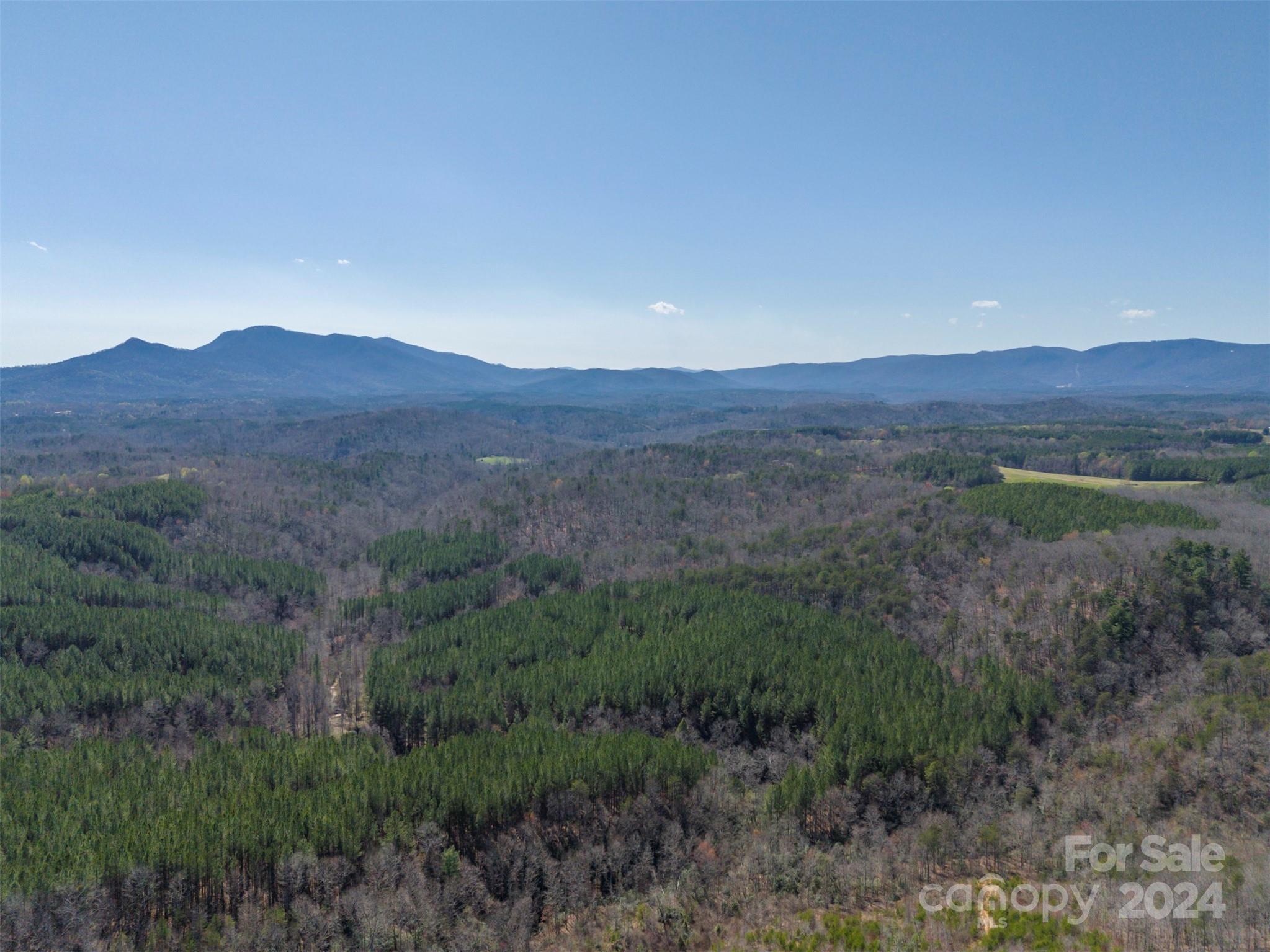 0 N Lynch Road SW Mill Spring NC 28756