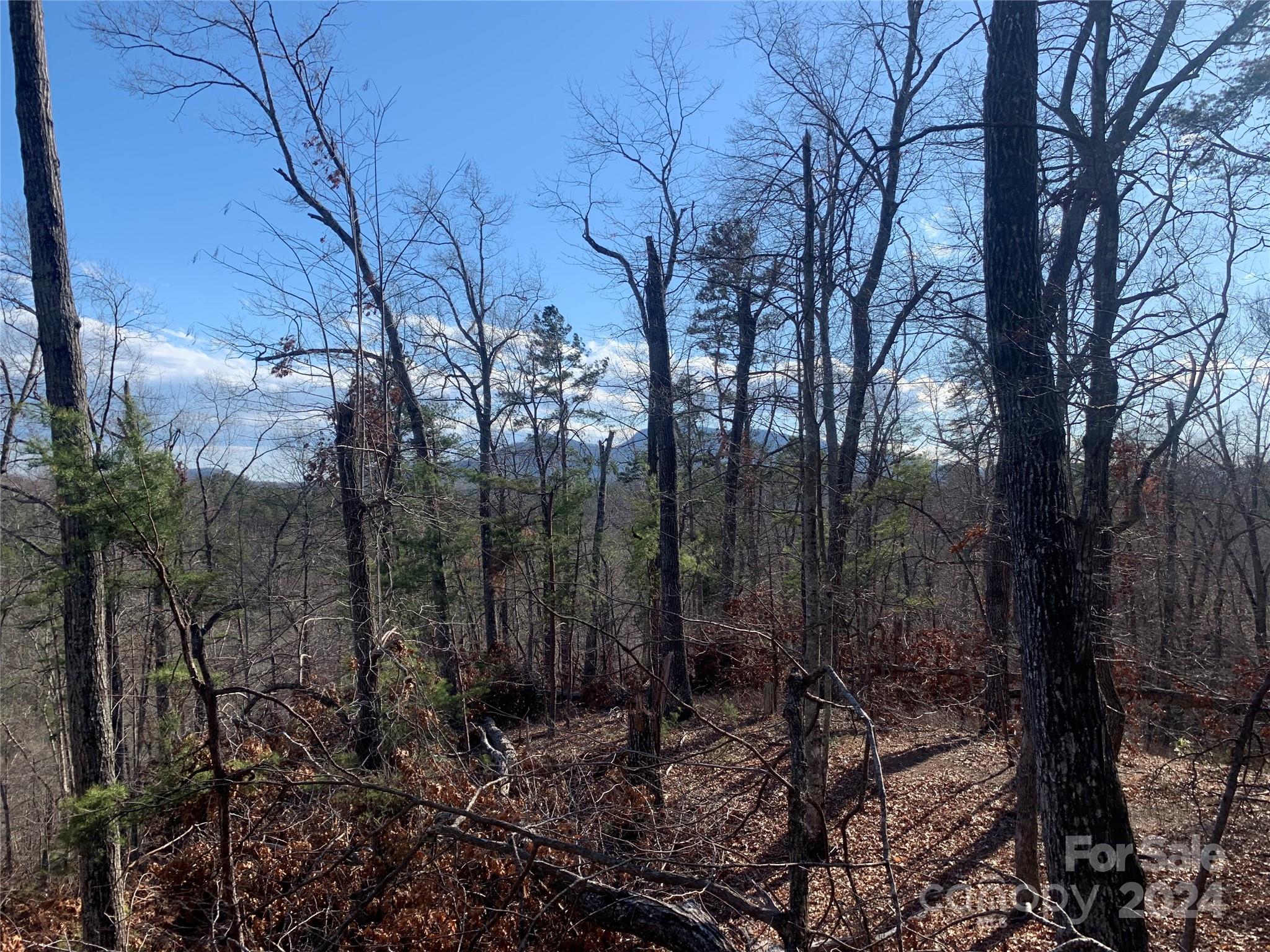0 N Lynch Road SW Mill Spring NC 28756