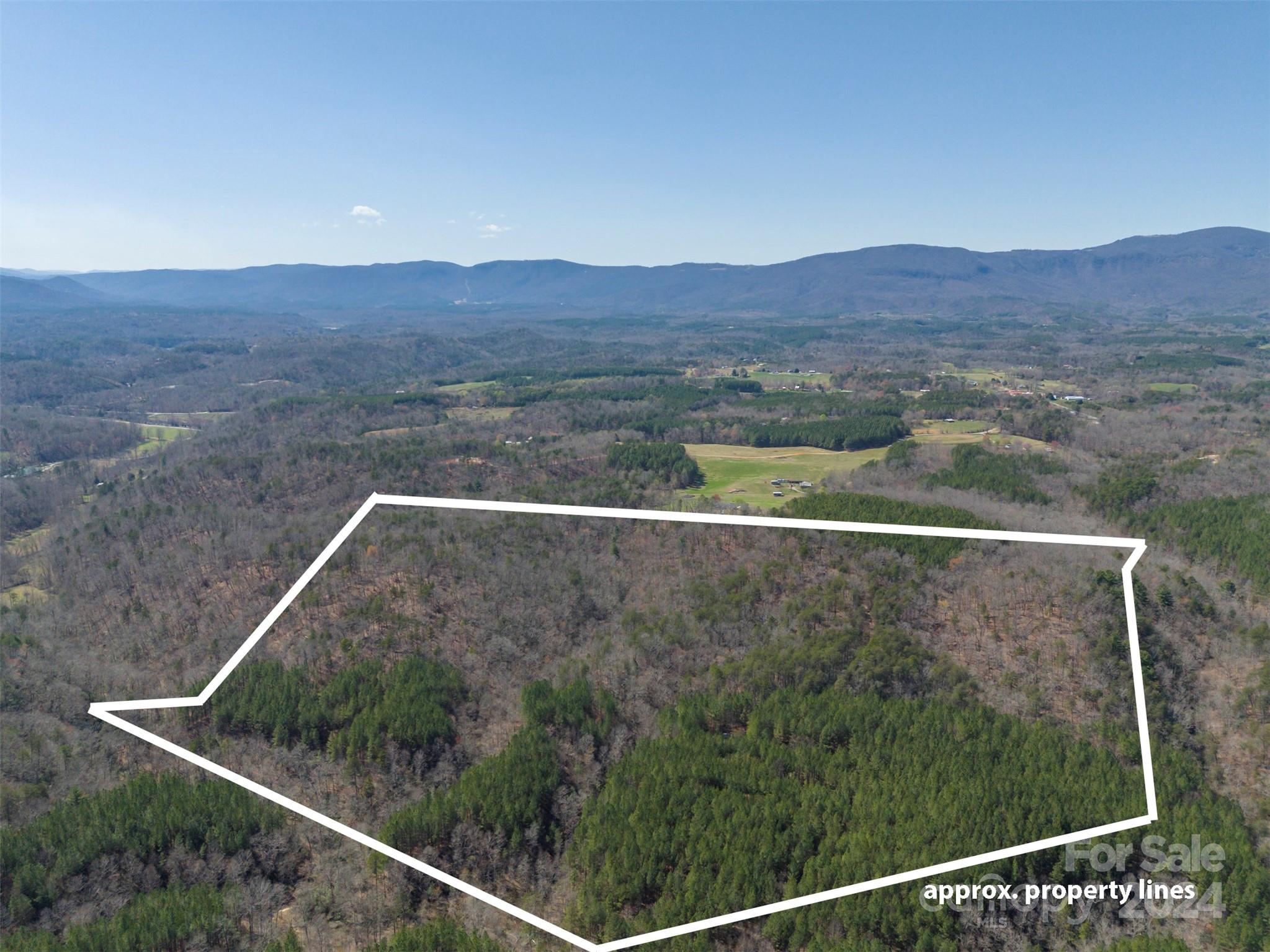 0 N Lynch Road SW Mill Spring NC 28756