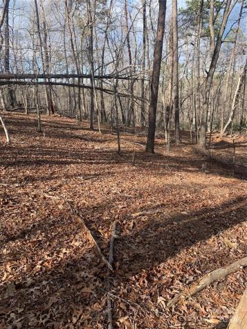 0 N Lynch Road SW Mill Spring NC 28756