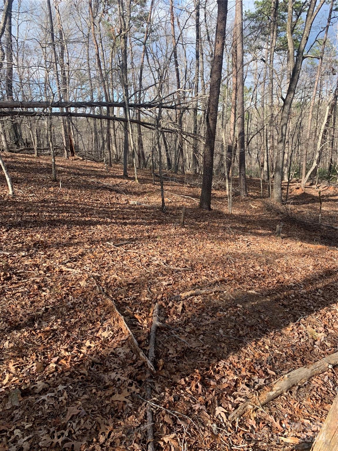 0 N Lynch Road SW Mill Spring NC 28756