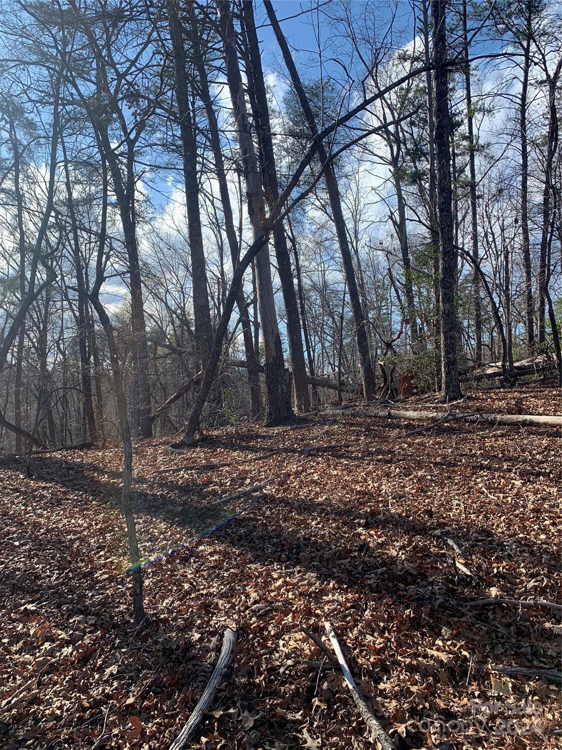 0 N Lynch Road SW Mill Spring NC 28756