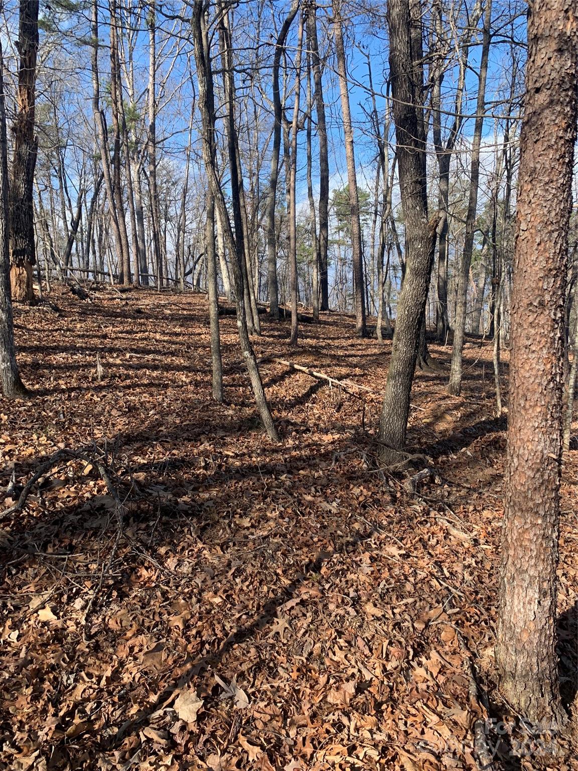 0 N Lynch Road SW Mill Spring NC 28756