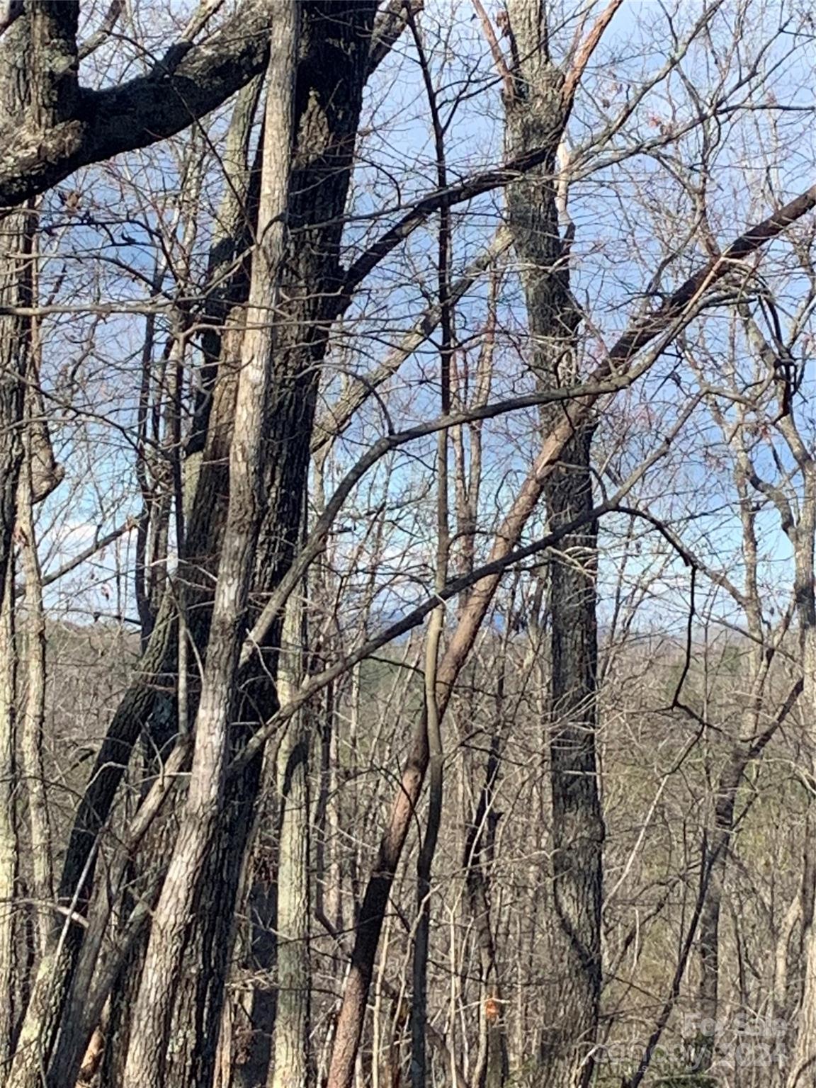 0 N Lynch Road SW Mill Spring NC 28756
