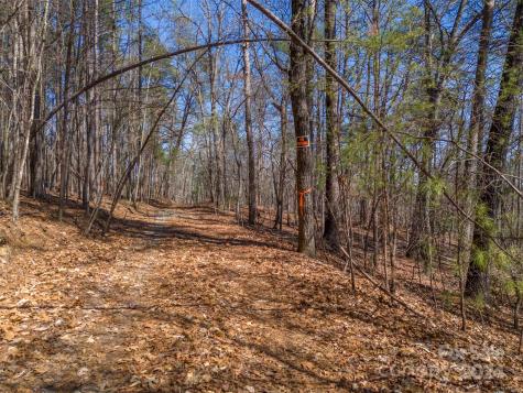 0 N Lynch Road SW Mill Spring NC 28756
