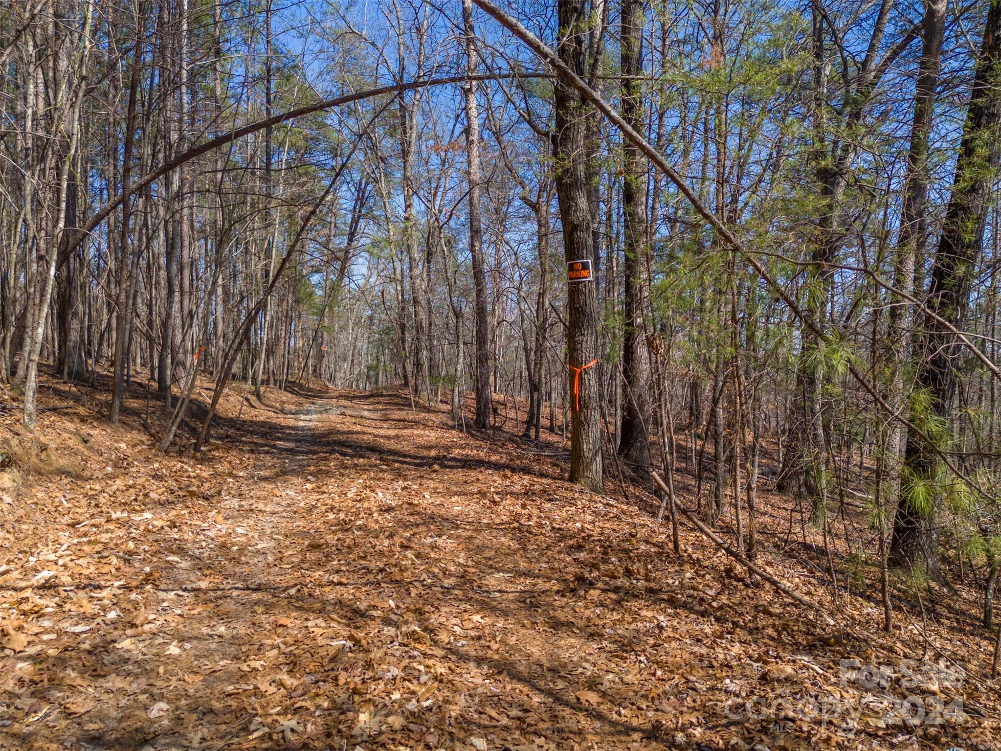 0 N Lynch Road SW Mill Spring NC 28756