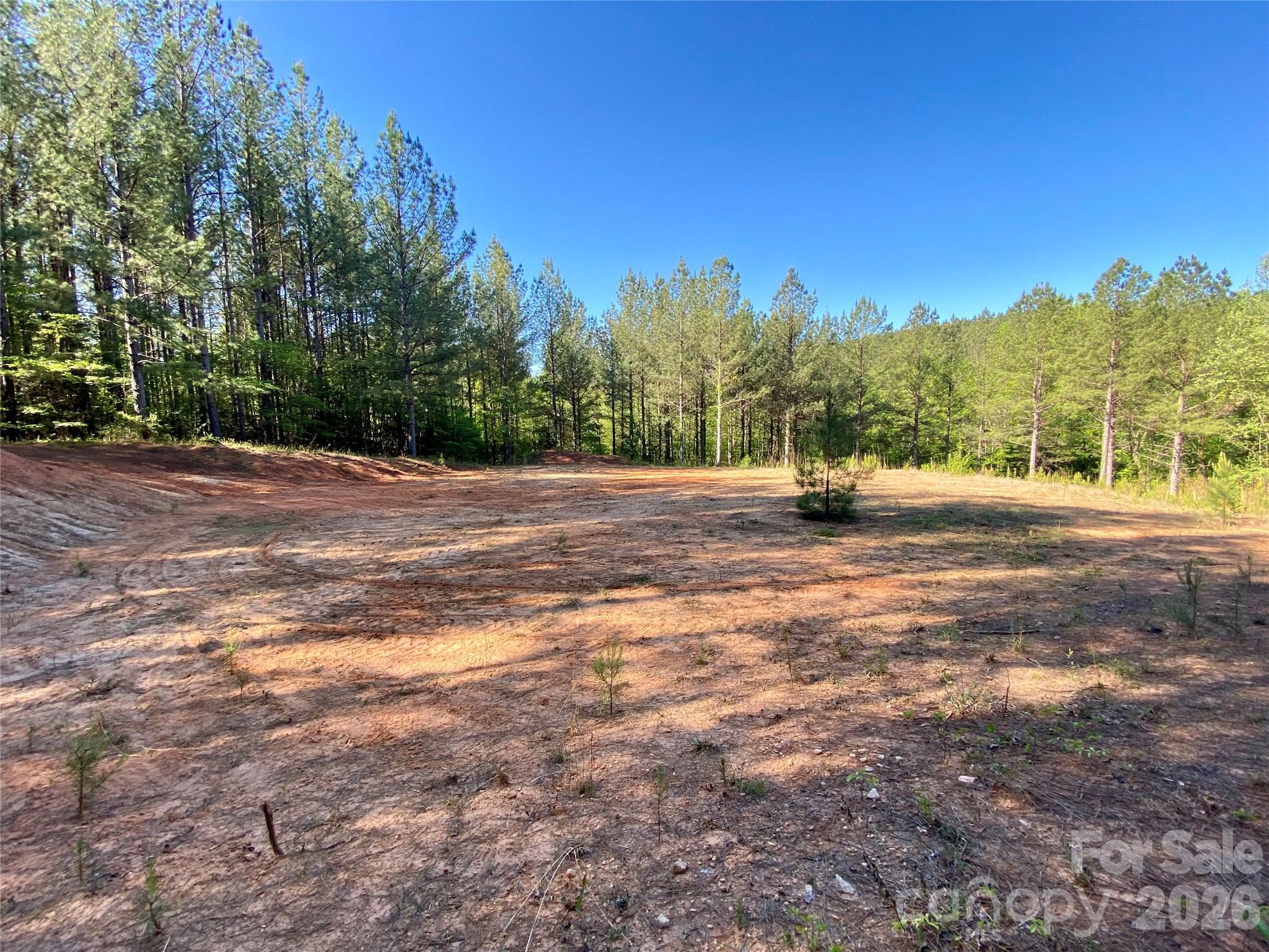0 Walking Horse Trail Rutherfordton NC 28139