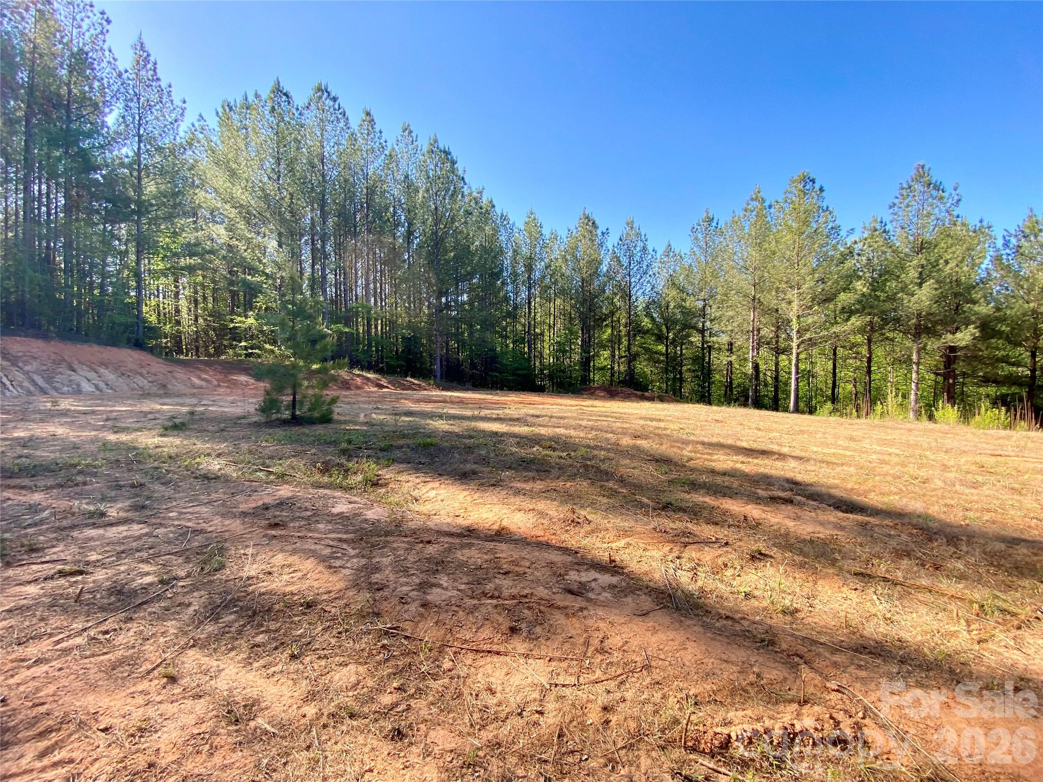 0 Walking Horse Trail Rutherfordton NC 28139