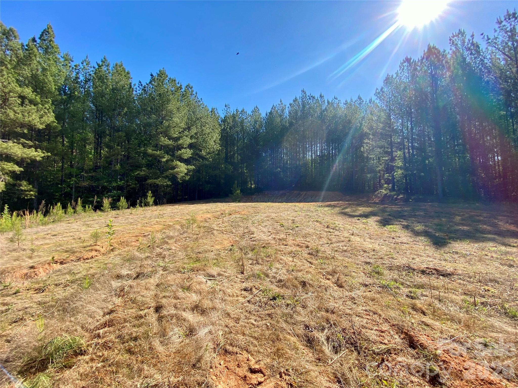 0 Walking Horse Trail Rutherfordton NC 28139
