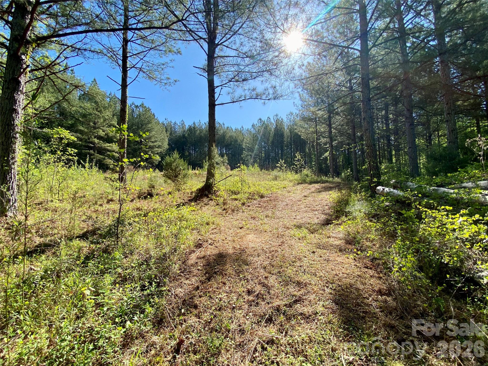 0 Walking Horse Trail Rutherfordton NC 28139