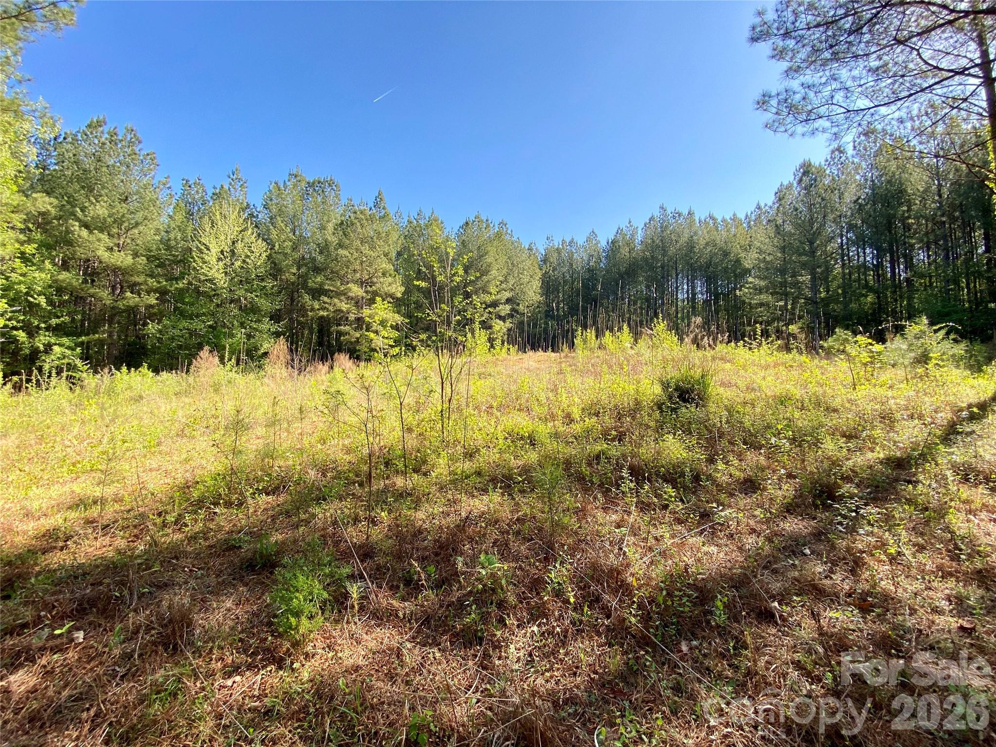 0 Walking Horse Trail Rutherfordton NC 28139