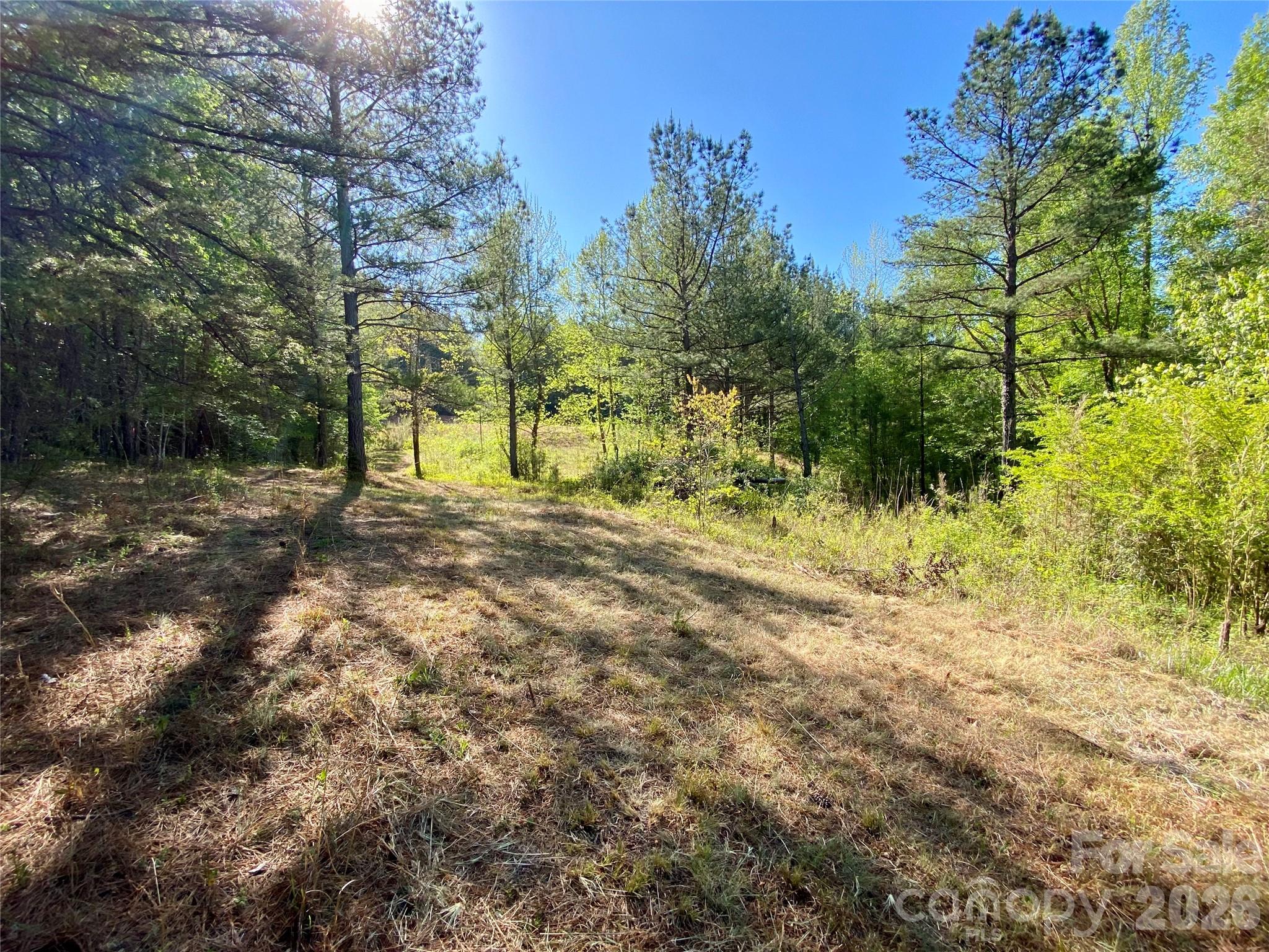 0 Walking Horse Trail Rutherfordton NC 28139