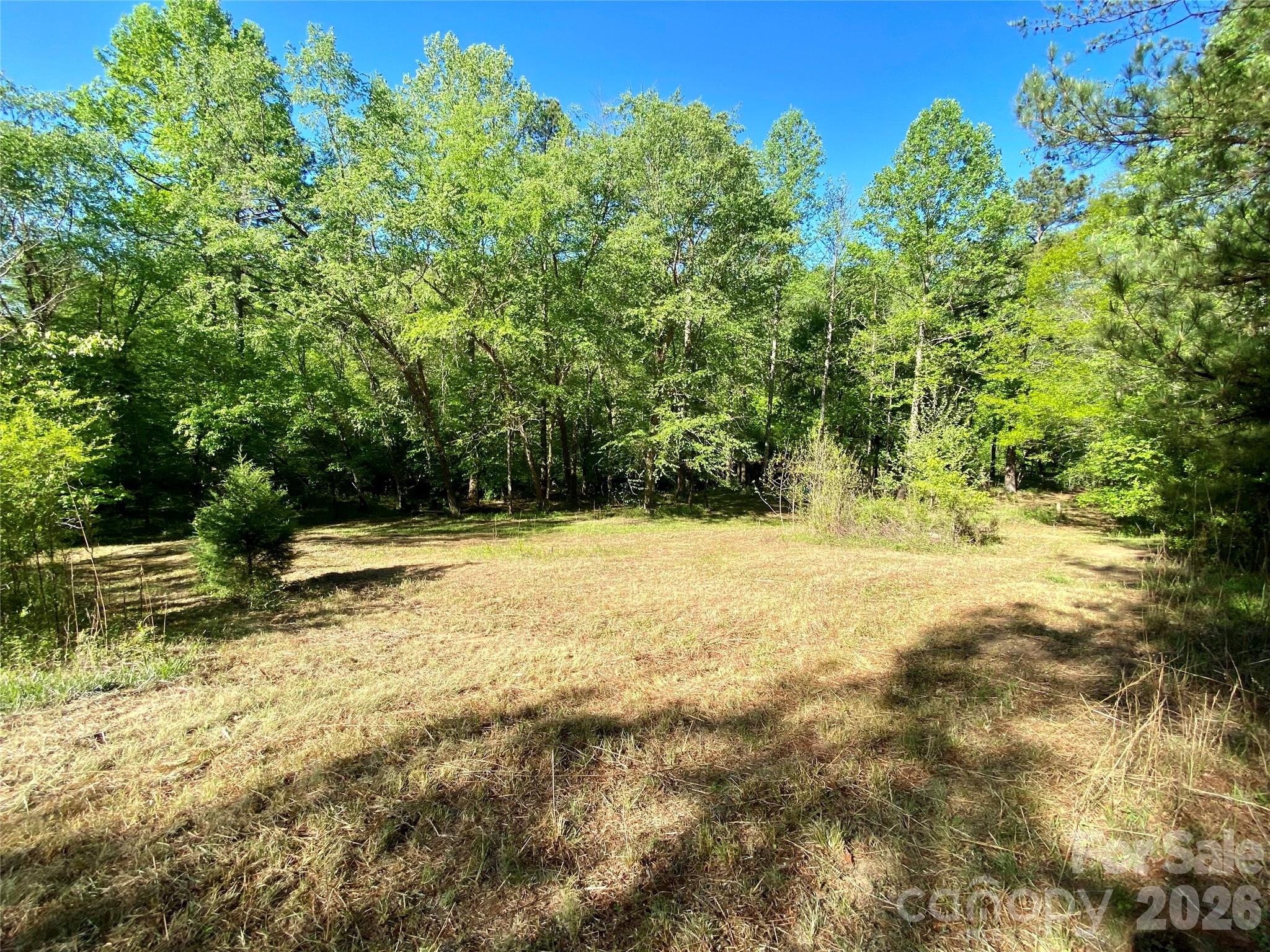 0 Walking Horse Trail Rutherfordton NC 28139